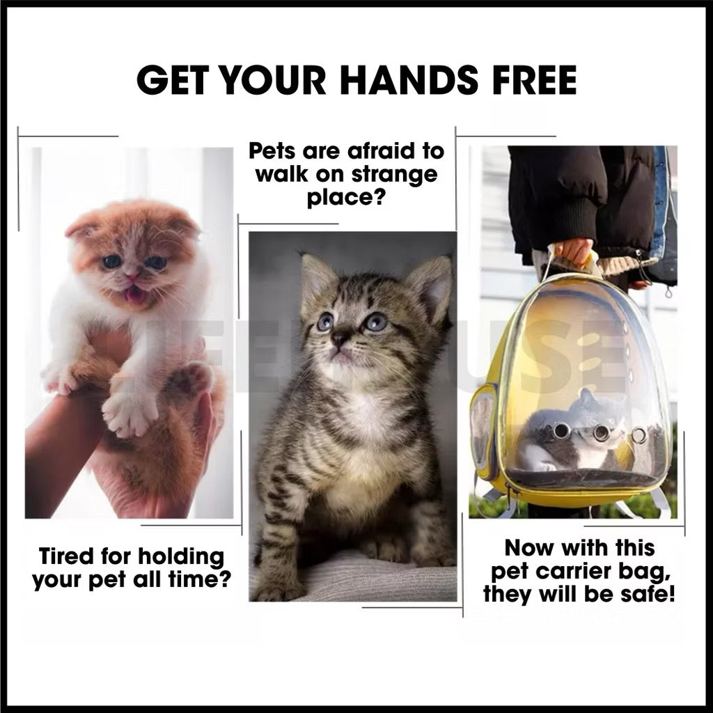 Cat Bag Transparent Cat Carrier Bag Cat Travel Cat Bag Back Pet Carrier Bag Cat Bag